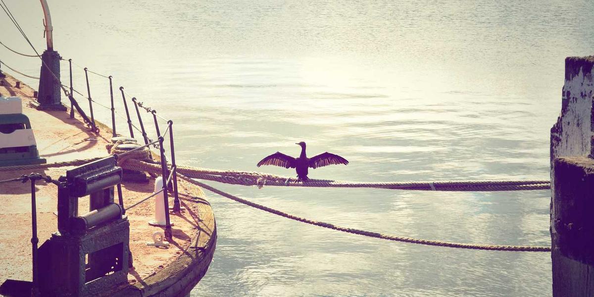 Why Regency Romances Are the Best Type of Romance Novels